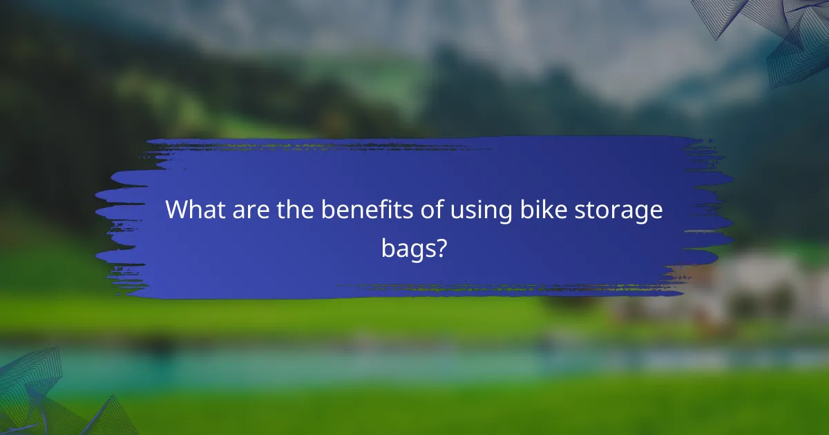 What are the benefits of using bike storage bags?